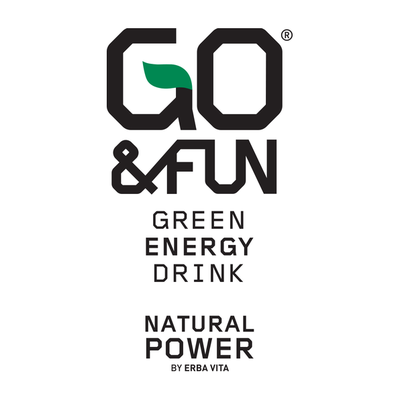GO Have Fun logo