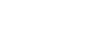 Noodles & Co logo